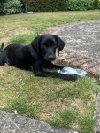 IMG_2932.jpeg