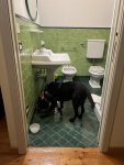 IMG_0595.jpeg