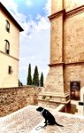 IMG_0649.jpeg