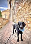 IMG_0644.jpeg