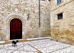 IMG_1076.jpeg