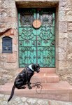 IMG_0962.jpeg