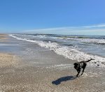 IMG_1190.jpeg