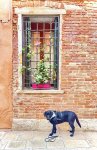 IMG_1292.jpeg