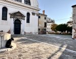 IMG_1247.jpeg