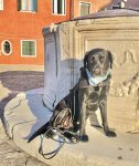 IMG_1241.jpeg