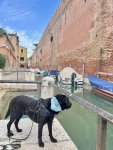 IMG_1405.jpeg