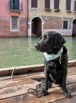IMG_1356.jpeg