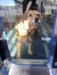IMG_4224.jpeg