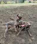 IMG_8392.jpeg