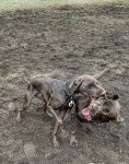 IMG_8391.jpeg