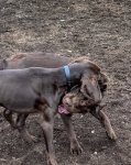 IMG_8397.jpeg