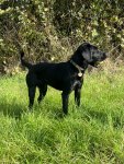 IMG_3011.jpeg