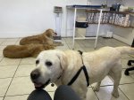 IMG_5971.jpeg