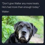 1730960731312.jpeg