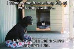 1731390873979.jpeg