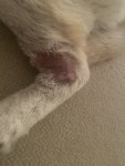 IMG_6429.jpeg