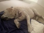 IMG_6432.jpeg