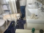 IMG_6440.jpeg