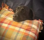 IMG_2214.jpeg