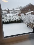 IMG_7944.jpeg