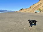 IMG_2270.jpeg