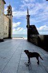 IMG_2364.jpeg