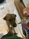 IMG_1879.jpeg