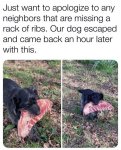 1735193201481.jpeg