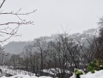 20250105_152020.jpg