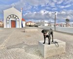 IMG_3771.jpeg