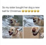 1736403977091.jpeg