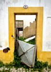 IMG_4081.jpeg
