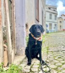 IMG_4088.jpeg