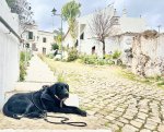 IMG_4059.jpeg