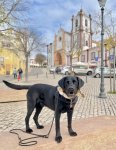 IMG_4275.jpeg