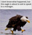 1736917523298.png