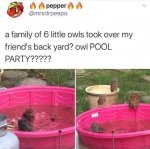 1736922504879.jpeg