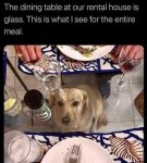 1737007990086.jpeg