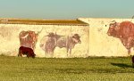 IMG_4876.jpeg