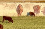 IMG_4873.jpeg