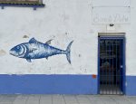 IMG_4647.jpeg
