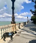 IMG_5032.jpeg