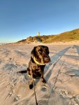 IMG_5058.jpeg