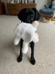 IMG_3117.jpeg