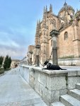 IMG_5196.jpeg