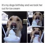 1737440362895.jpeg