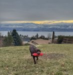 IMG_2210.jpeg