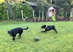 IMG_5605.jpeg IMG_5605.jpeg