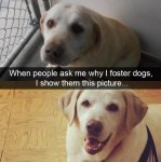 1738045732455.jpeg